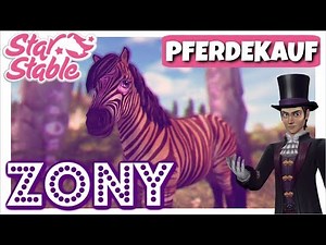 Star Stable [SSO]: Ein ZONY von Ydris für Dakota 💜 [PFERDEKAUF] [DEUTSCH]