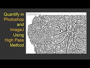 Quantification High Pass Method Photoshop ImageJ