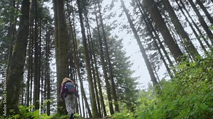 Forest therapy. A girl stands near a tree and river doing breathing practice and mentally talking to nature. Communication with the coniferous forest and unity with nature
