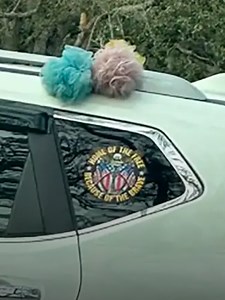 Loofah colors are the new upside-down pineapple for seniors