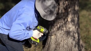 7.6K views · 98 reactions | ️ Check out the new video demonstrating herbicide application control methods for invasive plants. The video focuses on basal bark, cut stump and drill and frill control methods. More information here  https://bit.ly/3uZOkBk | Biosecurity Queensland | Facebook