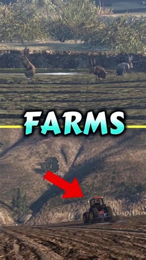 GTA5 Farms Details