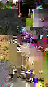 670K views · 591 reactions | Genius ways to repurpose old PVC pipes | 5-Minute Crafts Play | Facebook