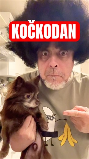 I bought a Kočkodan, why did I do it?