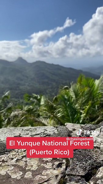 Experience the Beauty of El Yunque National Forest in Puerto Rico