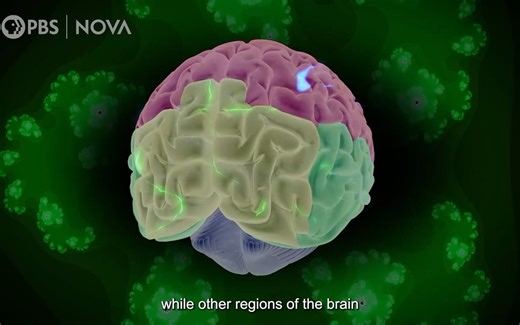 How Psychedelics Change the Brain