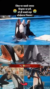 Rip 😭 Jessica Redcliffe 🐬 dolfin attack 🐬 for show..................more #2025viralvideo #RIP #Dolfin #emotional #viral | Kumar LM