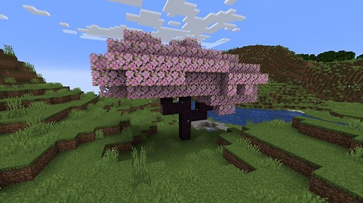 How to find and grow cherry trees easily in Minecraft 1.20 update