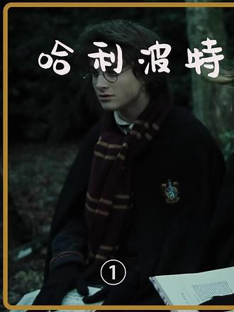 《哈利波特与火焰杯》魔法世界，是一代人永远美好的回忆#推荐电影