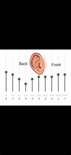 Graphic Equalizer: Front and Back Ears. Man: back. Woman Front.