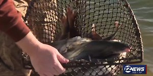 Restocking program begins at lakes and ponds across Kansas