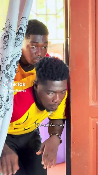 Funny Twins in Hilarious Cartoon Adventure