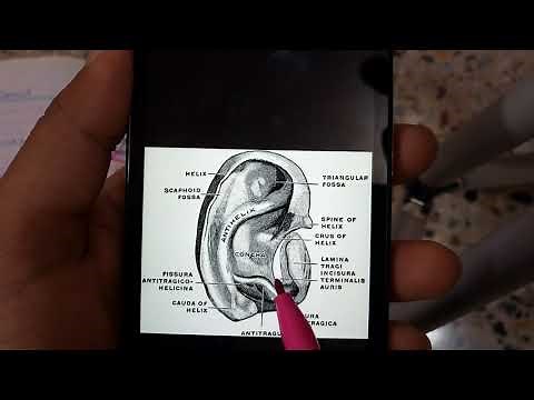 SURGICAL APPROACHES IN EAR SURGERY, important incisions explained in simple way!