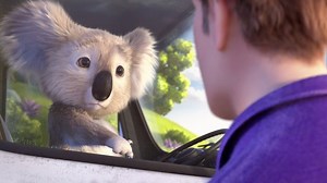30K views · 181 reactions | Kenny the koala will do anything to get his hands on Cushelle. Have you spotted our new TV ad yet? | Cushelle | Facebook
