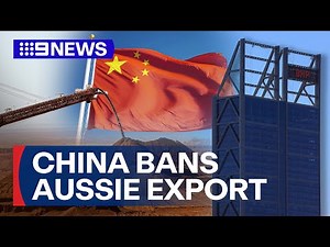 China bans iron ore from Australian mining giant BHP | 9 News Australia