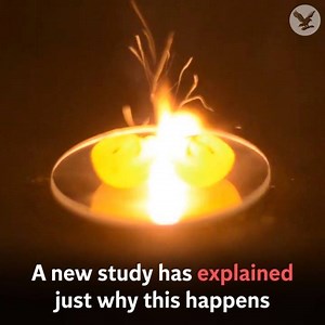 79K views · 166 reactions | We finally know why this happens when you microwave grapes | The Independent | Facebook