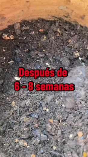 Cómo hacer compost en casa: De residuos a nutrientes