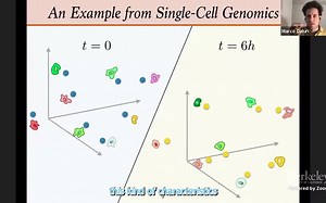 Computational Optimal Transport