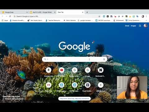 Como Descargar y Agregar la Extension de Google Translate