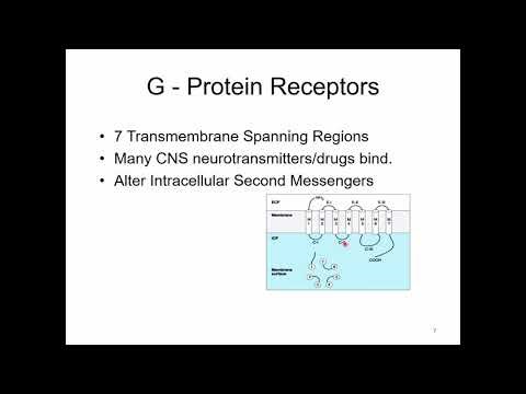 35 GPCRs and Signal Transduction