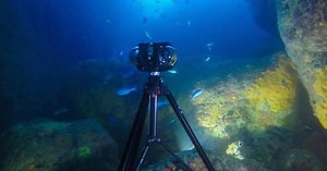Boxfish reels in a high res, 360-degree underwater video camera