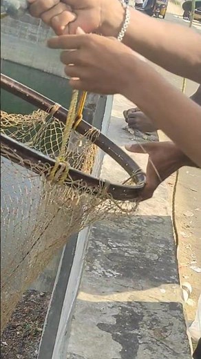 Trout Fishing Tips And Techniques | Flout fishing For Ste...