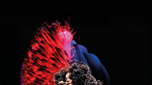 Cornucopia - Apple TV