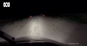 241K views · 5.3K reactions | OUTBACK RFDS NIGHT LANDING ✈️  Check out the view from pilot Brady Thrift's cockpit as he aced a night landing at Tobermorey Station Roadhouse & Caravan Park just across the Qld/NT border. The Royal Flying Doctor Service - Queensland Section retrieved a patient from the station with the help of some toilet paper flares to light the runway!  | ABC North West Queensland | Facebook