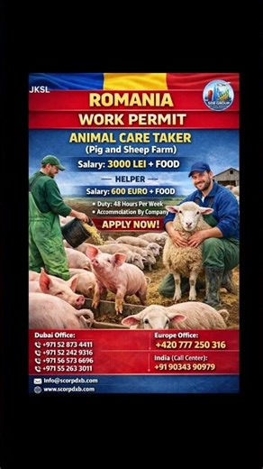 🇷🇴 Work in Romania – Apply Today & Secure Your Future!
