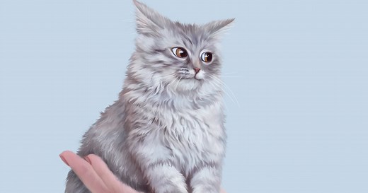 Why 40 million Americans with a brain parasite linked to cats don't show symptoms