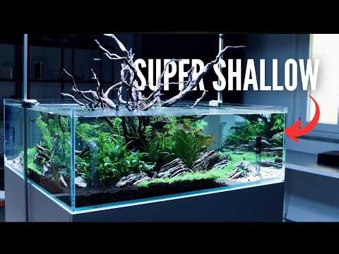 90x90x30 Shallow Aquascape Tutorial