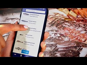 Scansiona prima di comprare: perché due nuove app puntano a cambiare l'acquisto di prodotti ittici