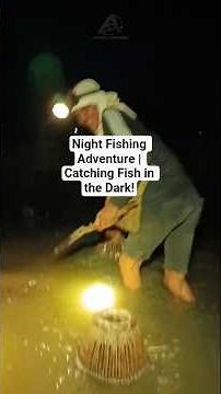 Night Fishing Adventure | Catching Fish in the Dark!