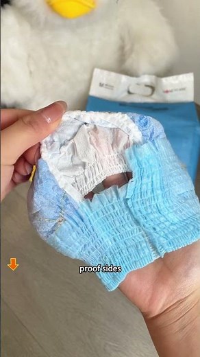 POV: you finally found a dog diaper that works #honeycare #dogdiapers