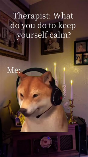 All the Time #Meme #MemeCut #CapCut #dancingdog #doge #funny #hazbin #alastorhazbinhotel #therapy