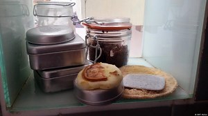 Life Without Plastic