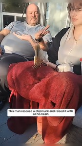 327K views · 10K reactions | This man rescued a chipmunk and raised it with all his heart It's a wonderful nature See more unforgettable moments of animal https://animal.dailync91news.live/597/18/ | Mr. LOST DOG | Facebook