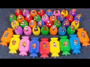 Paw Patrol Mixing ASMR: Skye, Ryder, Chase, Marshall & More Fun Moments 💖