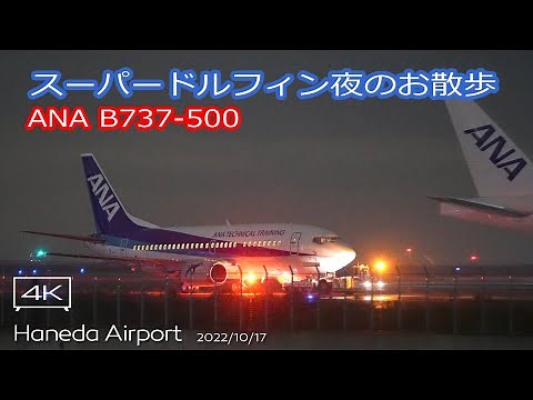 【スーパードルフィン】ANA B737-500 (JA301K) ANA Technical Training