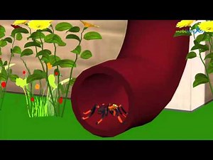 incy wincy spider | english children songs | nursery rhymes collection