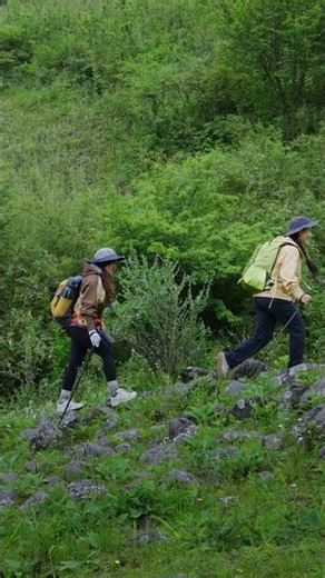 都说云南有十万大山适合徒步，这次去的东川妖精山~记得观看本周新视频，带大家一起探索妖精山的美丽风景【滇西小哥】#shorts #hiking #cooking #delicious #滇西小哥