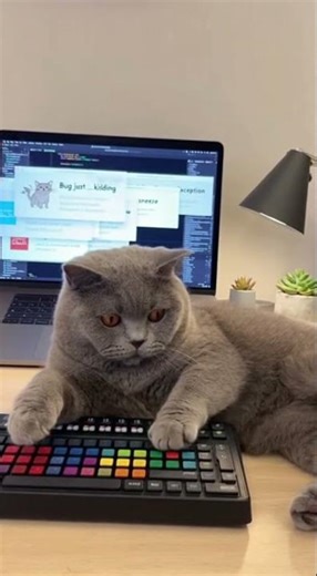 Cat: I'll program! Null Pointer warning