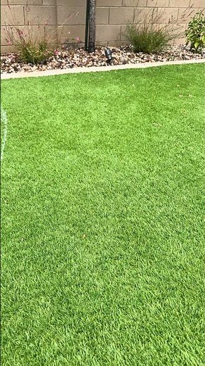 Easy Way To Clean Off Artificial Turf 💦🌿