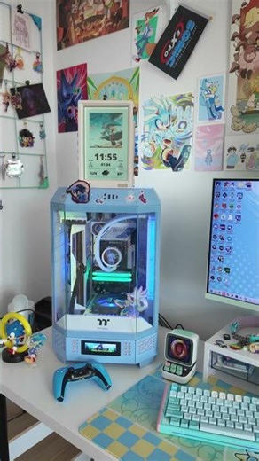 SILVER THE HEDGEHOG PC SETUP