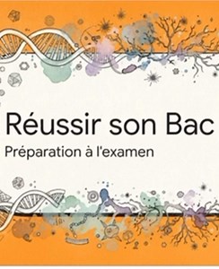 Il ne reste plus beaucoup de temps pour obtenir le pack terminale spé svt qui vous permettra d’augmenter vos chances de réussite au bac ! Fiches synthétiques, cartes mentales, schémas et définitions ….. tout l’essentiel ! #fyp #bacsvt #ficherevision #pourtoiii #spesvt
