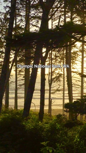 9 places you have to visit in Washington! 🌲✨ Which one is on your bucket list? #washingtonstate #pnw #pacificnorthwest #explorewa #pnwonderland #hikingadventures #naturelovers #pnwlife #roadtrip #travelwa #RealestateWashington | Tribeca NW Real Estate