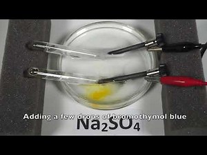 Electrolysis of Na2SO4