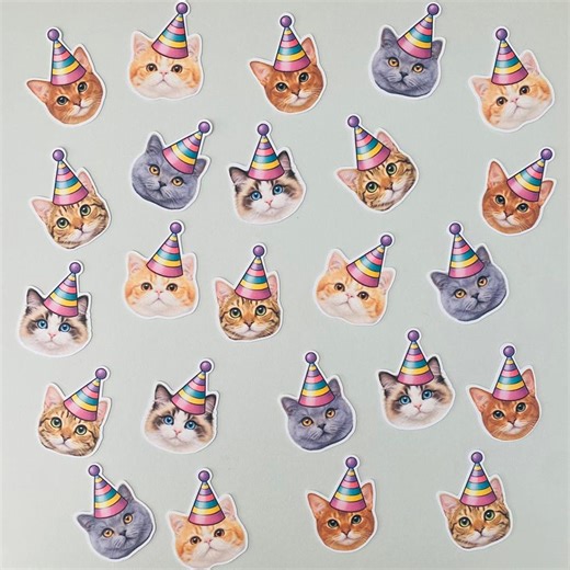 Cat Party Face Birthday Party Craft DIY Table Decor Handmade Confetti - Etsy