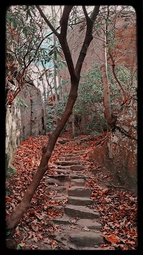 #ralphstanley #bluegrassgospel | Wesley Wells