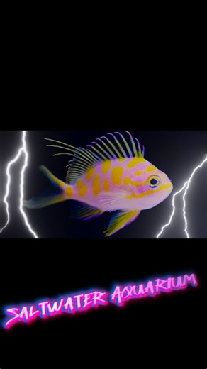 HYDROS AQUATICS on Instagram: "🌊🐠 MIAMI’S SALTWATER AQUARIUM DESTINATION 🐠🌊 If you’re serious about reef tanks, fish, or building something epic at home — this is your sign to stop by 👀💥 At Hydros Aquatics, we stock high-end saltwater fish, vibrant corals, premium equipment, and custom aquarium solutions all under one roof. From beginners to hardcore reefers, we’ve got everything you need to build, upgrade, or maintain your dream tank 💎🌈 ✔️ Live Saltwater Fish ✔️ Rare & Exotic Species ✔️